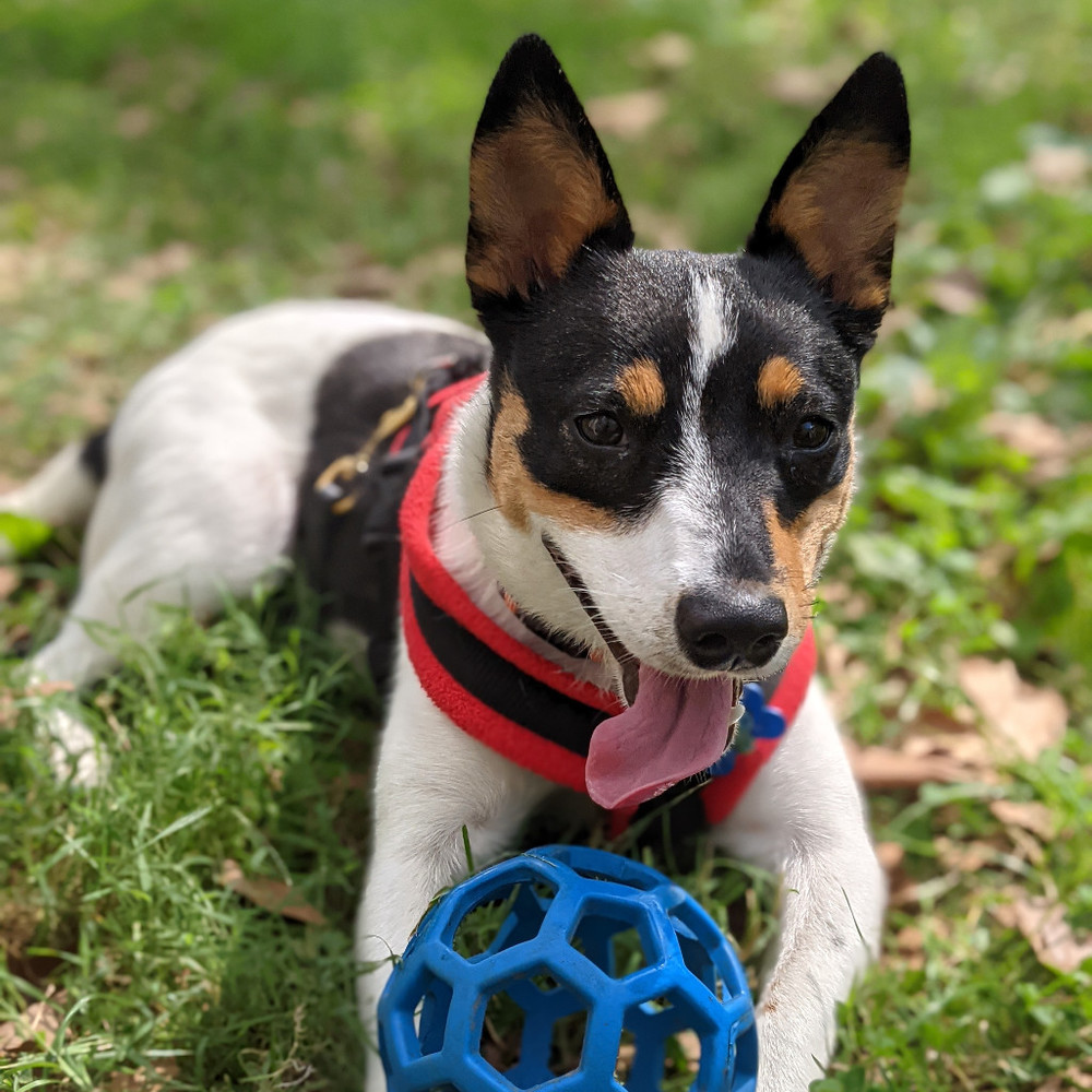 Meet your Posher, Judith